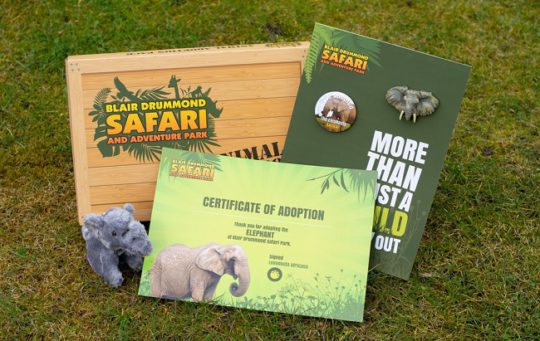 blair drummond safari park adopt an animal